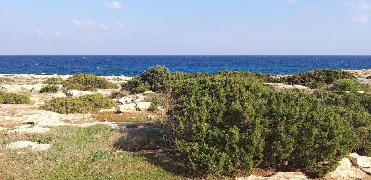 Mosaic Villa By The Sea Protaras Exterior photo